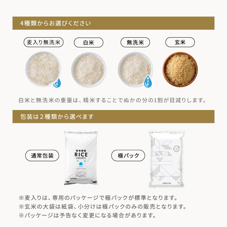 ヒノヒカリ 新米 予約 米 お米 20kg 熊本県産 令和7年産 玄米