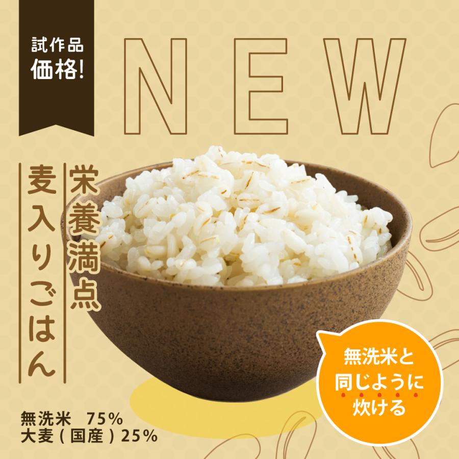 ヒノヒカリ 新米 米 お米 20kg 熊本県産 令和7年産 玄米20kg