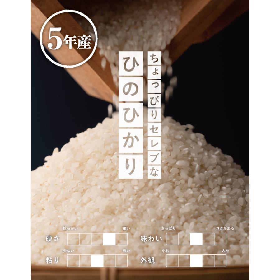 米 お米 10kg ちょっぴりセレブなヒノヒカリ 国内産 令和5年産 5kg×2袋 ひのひかり｜fuchigami｜02