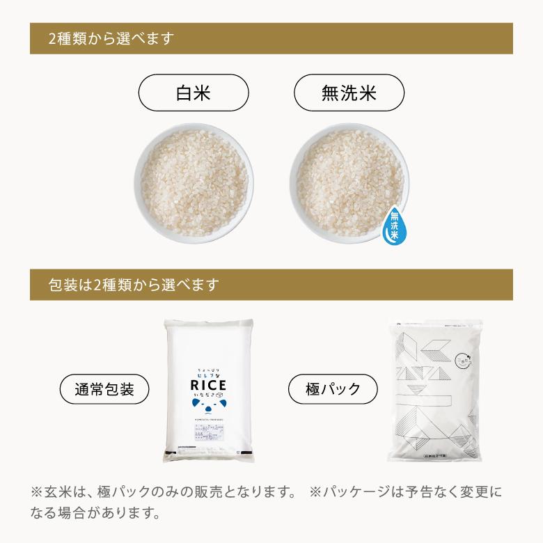ヒノヒカリ 【在庫処分SALE】米 お米 10kg ちょっぴりセレブな 国内産