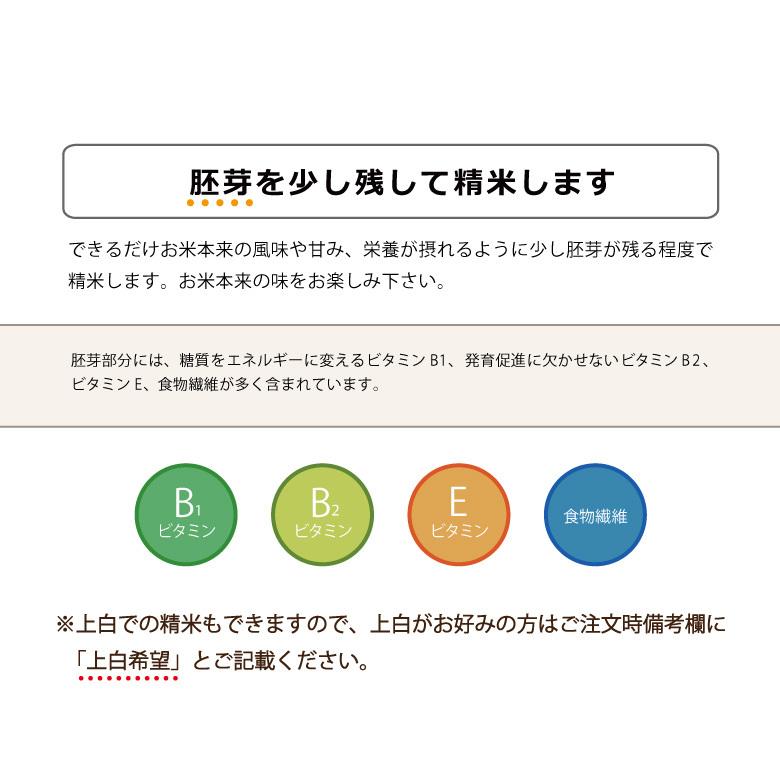 KT様専用 標準精米込み 最短希望 | theiet.lk