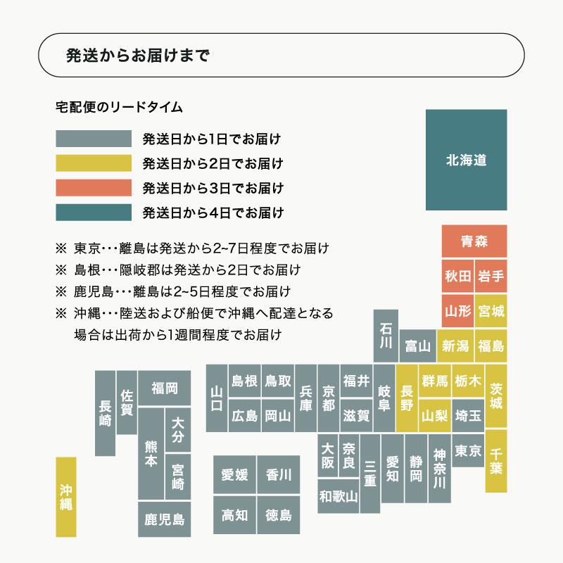 ヒノヒカリ 【在庫処分SALE】米 お米 10kg 熊本県産 令和7年産 10kg ひ