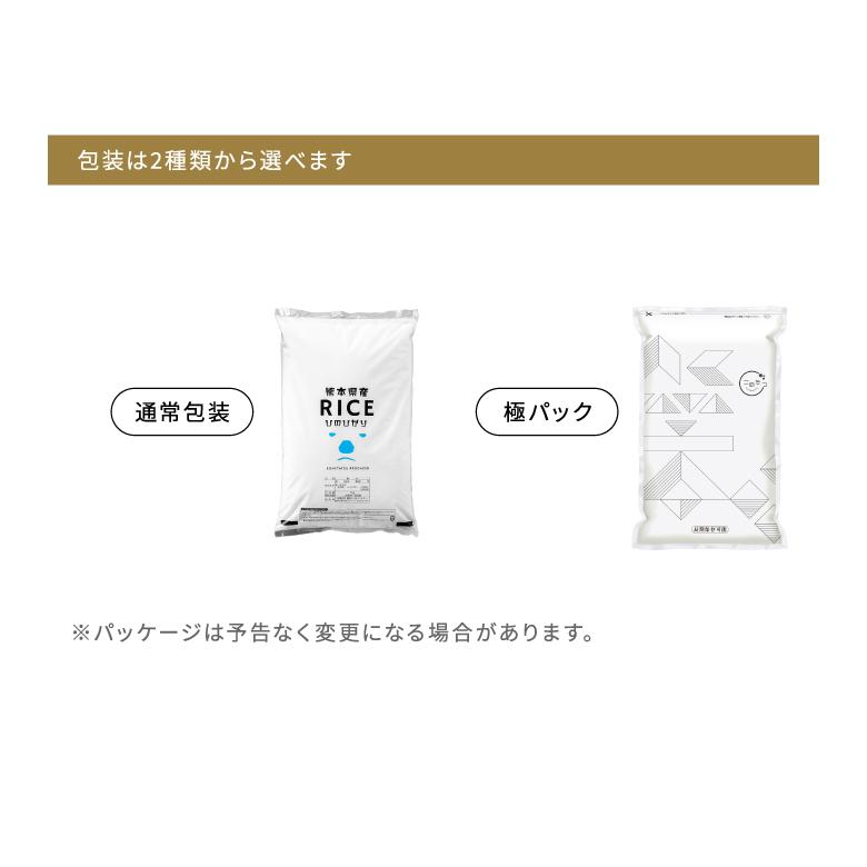 ヒノヒカリ 米 お米 10kg 熊本県産 令和6年産 ひのひかり 送料無 ヒノヒカリ 米 お米 10kg 熊本県産 令和6年産 ひのひかり 送料無