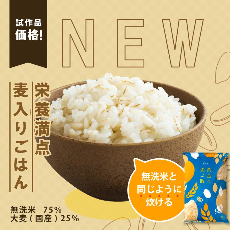 ヒノヒカリ 【令和8年産 新米入荷！】 新米 米 お米 10kg 熊本県産 令