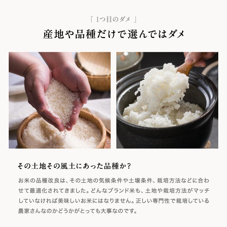 ヒノヒカリ 令和6年産 10kg 数量限定米 【公式通販】