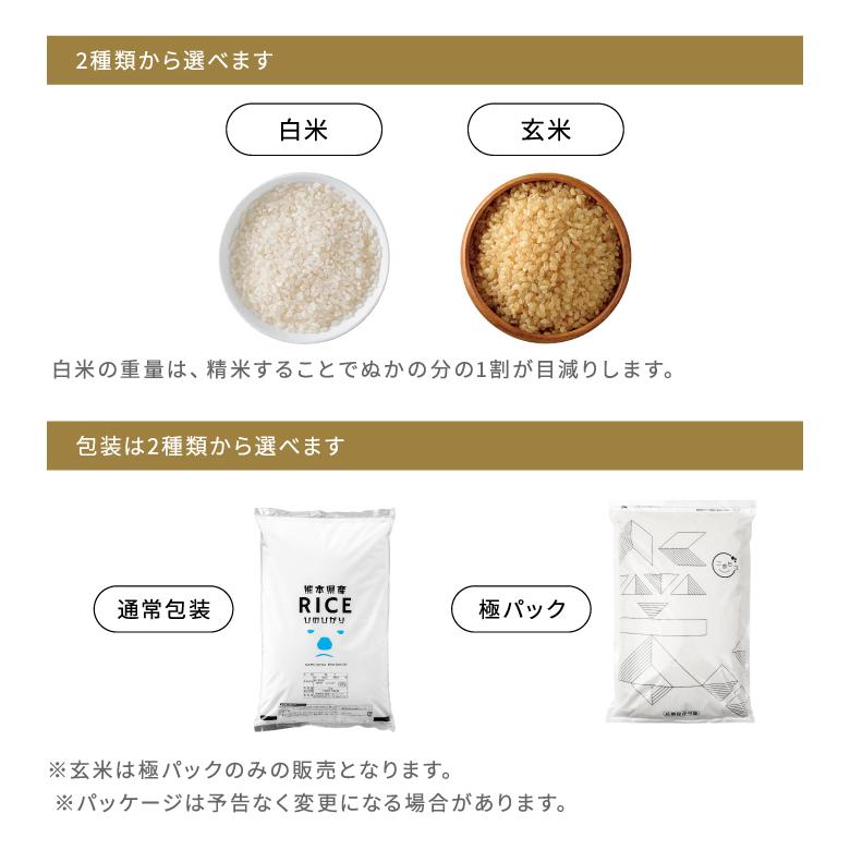 ヒノヒカリ 米 お米 10kg 熊本県産 令和6年産 玄米10 kg 精米9kg ヒノヒカリ 米 お米 10kg 熊本県産 令和6年産 玄米10 kg 精米9kg