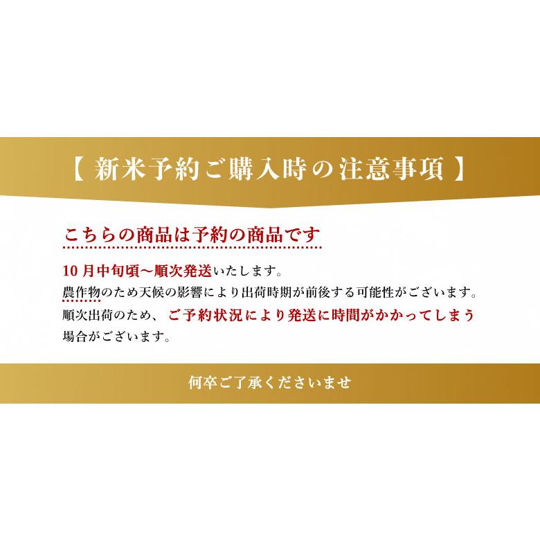 新米 予約 米 お米 30kg ヒノヒカリ 熊本県産 令和6年産 玄米 新米 予約 米 お米 30kg ヒノヒカリ 熊本県産 令和6年産 玄米