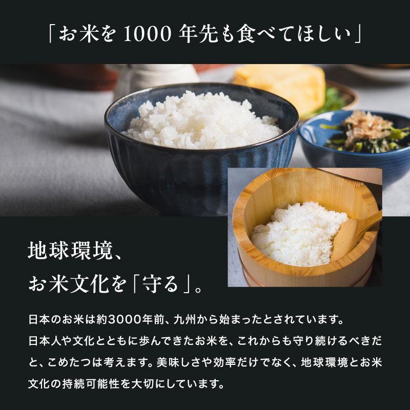 ヒノヒカリ 米 お米 10kg 無洗米 熊本県産 令和7年産 10kg ひのひかり 