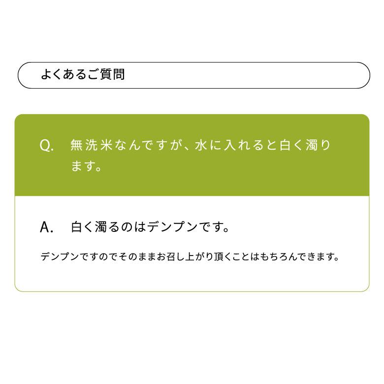 ヒノヒカリ 【在庫処分SALE】米 お米 10kg 無洗米 熊本県産 令和7年産
