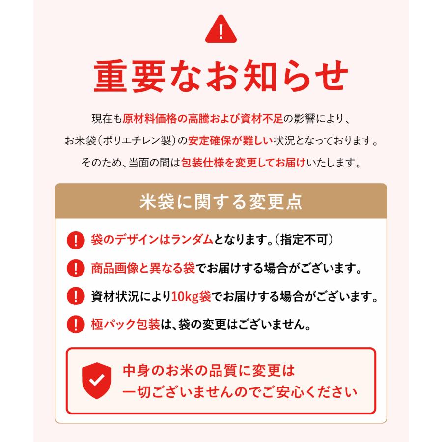 ヒノヒカリ 【在庫処分SALE】米 お米 10kg 無洗米 熊本県産 令和7年産