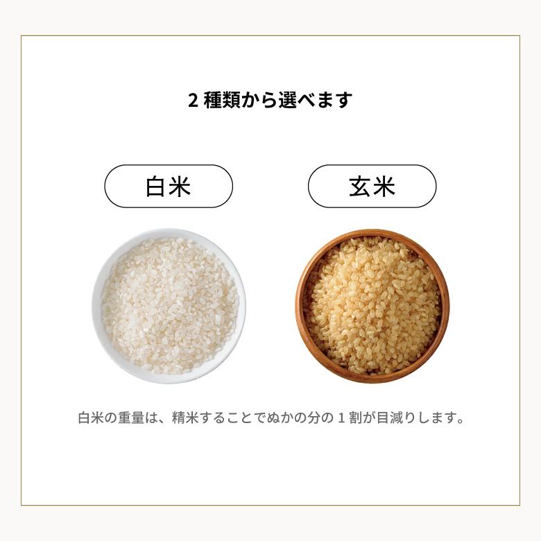 ヒノヒカリ 米 お米 20kg 熊本県産 特別栽培米 令和6年産 玄米20kg