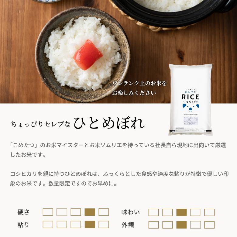 ひとめぼれ 米 お米 30kg ちょっぴりセレブな 国内産 令和7年産 玄米