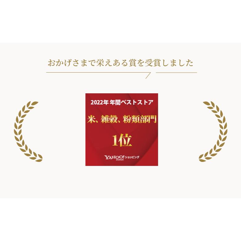 米 お米 10kg くまさんの輝き 熊本県産 令和7年産 5kg×2袋 : こめたつ