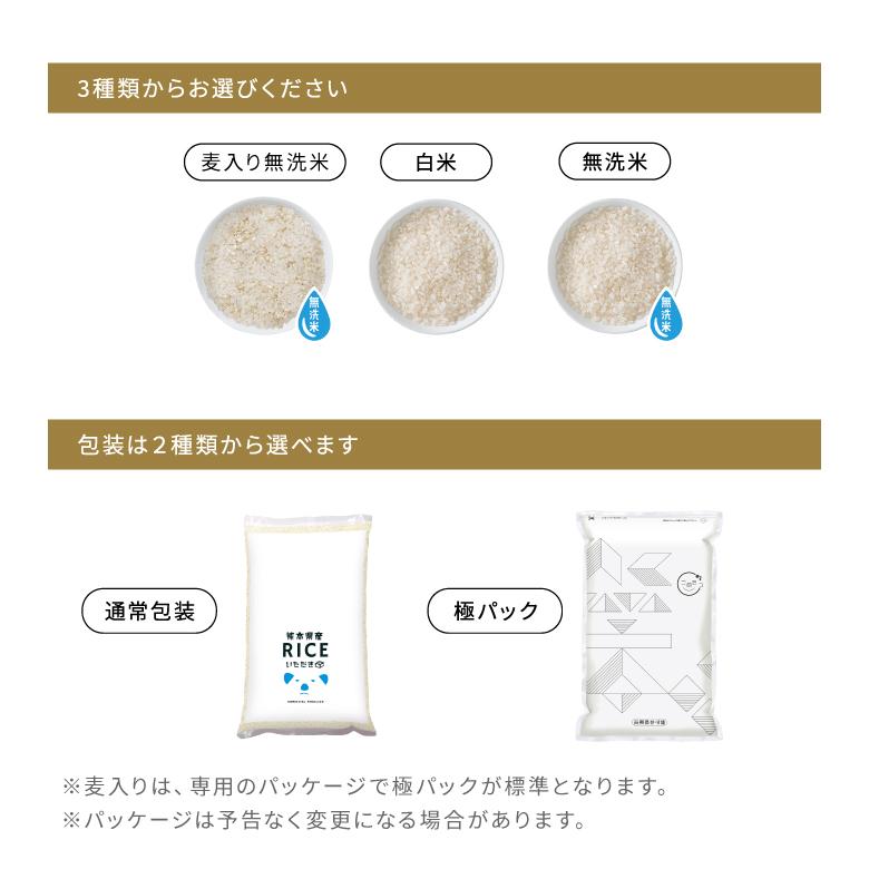 令和7年 新米 くまさんの輝き10kg 　数量変更も可　熊本県産 米 お米 10kg くまさんの輝き 熊本県産 令和7年産 5kg×2袋 : こめたつ
