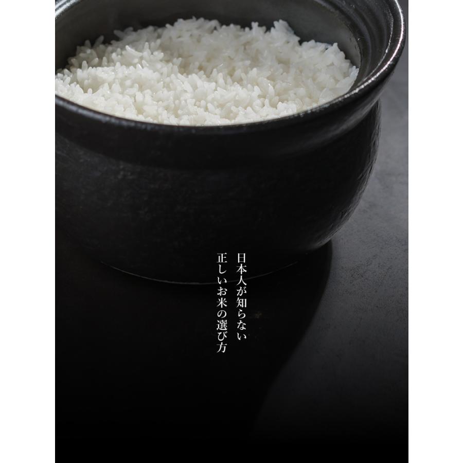 米 お米 10kg くまさんの輝き 熊本県産 令和7年産 玄米10kg 精米9kg