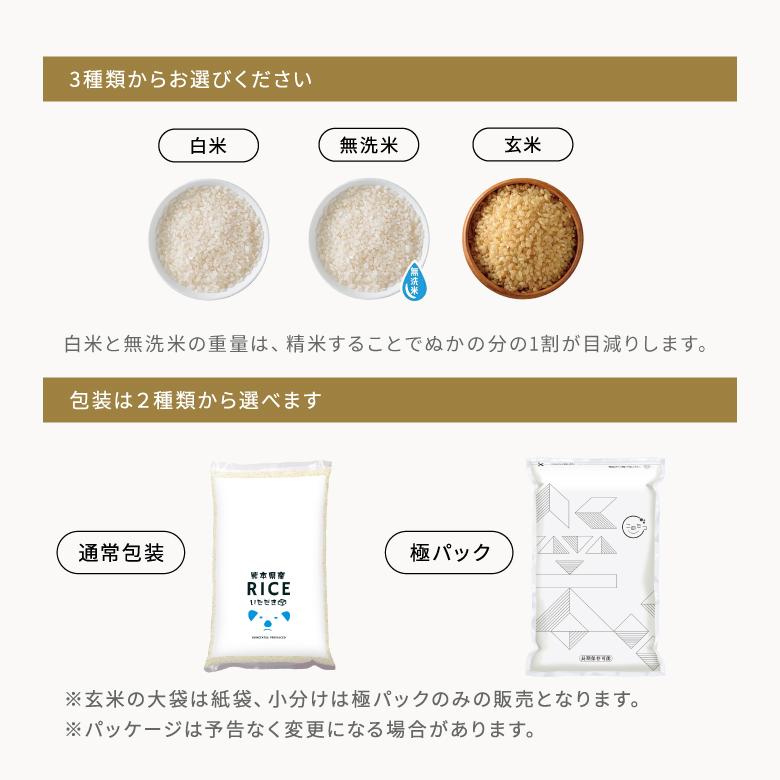 令和8年産 新米入荷！】 新米 米 お米 20kg くまさんの輝き 白米 玄米