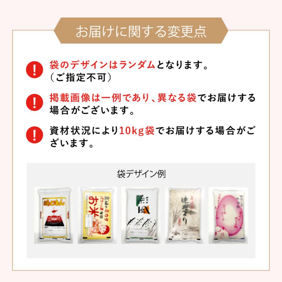 米 お米 30kg くまさんの輝き 白米 玄米30kg 精米後27kg 熊本県産 令和
