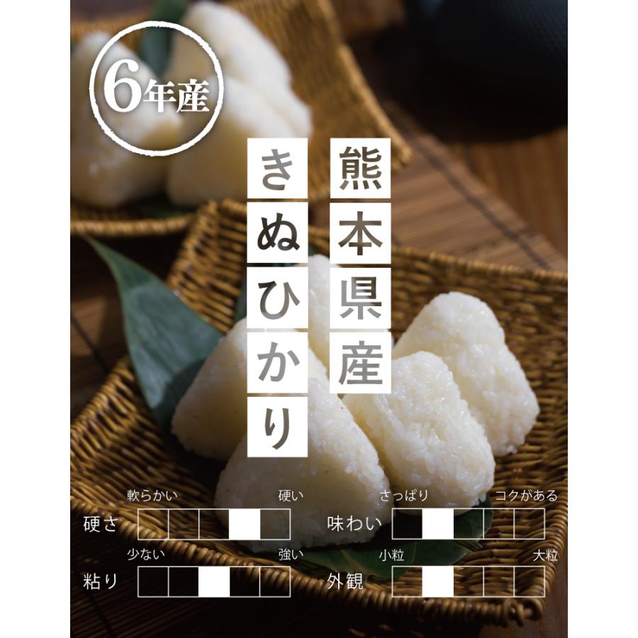 キヌヒカリ 米 お米 10kg 熊本県産 令和6年産 5kg×2袋 きぬ キヌヒカリ 米 お米 10kg 熊本県産 令和6年産 5kg×2袋 きぬ