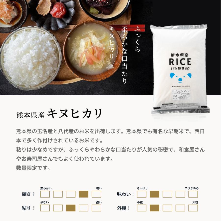 キヌヒカリ 米 お米 10kg 熊本県産 令和7年産 5kg×2袋 きぬひかり