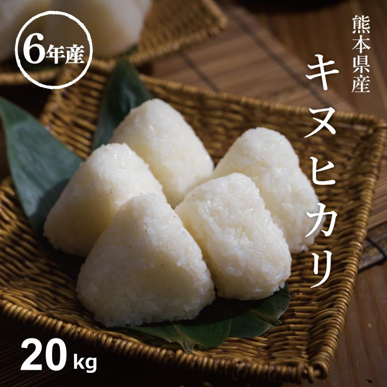 新米 予約 米 お米 20kg キヌヒカリ 熊本県産 令和5年産 玄米20kg 精米18kg きぬひかり :kinu-20:こめたつ 通販 きぬひかり 玄米 新米