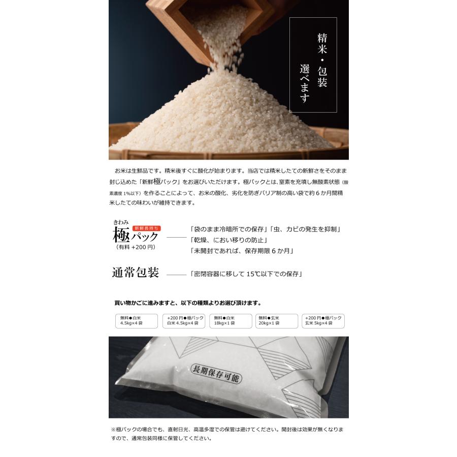 最新 キヌヒカリ 20kg 白米 10月下旬発送 キヌヒカリ 20kg 白米 10月