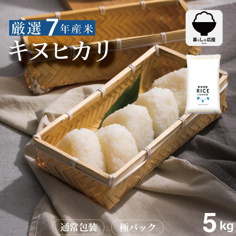 キヌヒカリ 米 お米 5kg 熊本県産 令和7年産 精米5kg きぬひかり