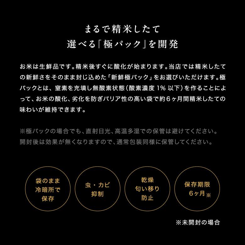 コシヒカリ 米 お米 20kg 熊本県産 令和7年産 玄米20kg 精米18kg こ し