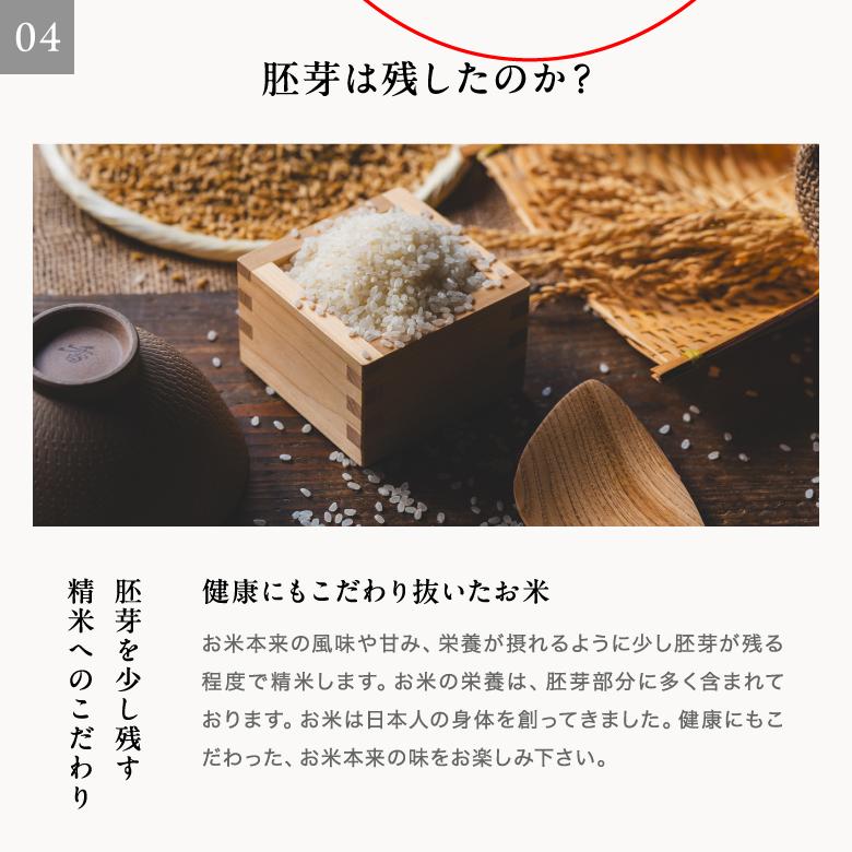 コシヒカリ 米 お米 30kg 熊本県産 令和6年産 玄米30kg 精米27kg コシヒカリ 米 お米 30kg 熊本県産 令和6年産 玄米30kg 精米27kg