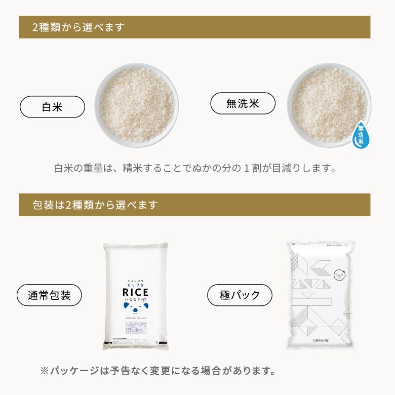コシヒカリ 【在庫処分SALE】【暮らし応援価格！】コシヒカリ 米 お米