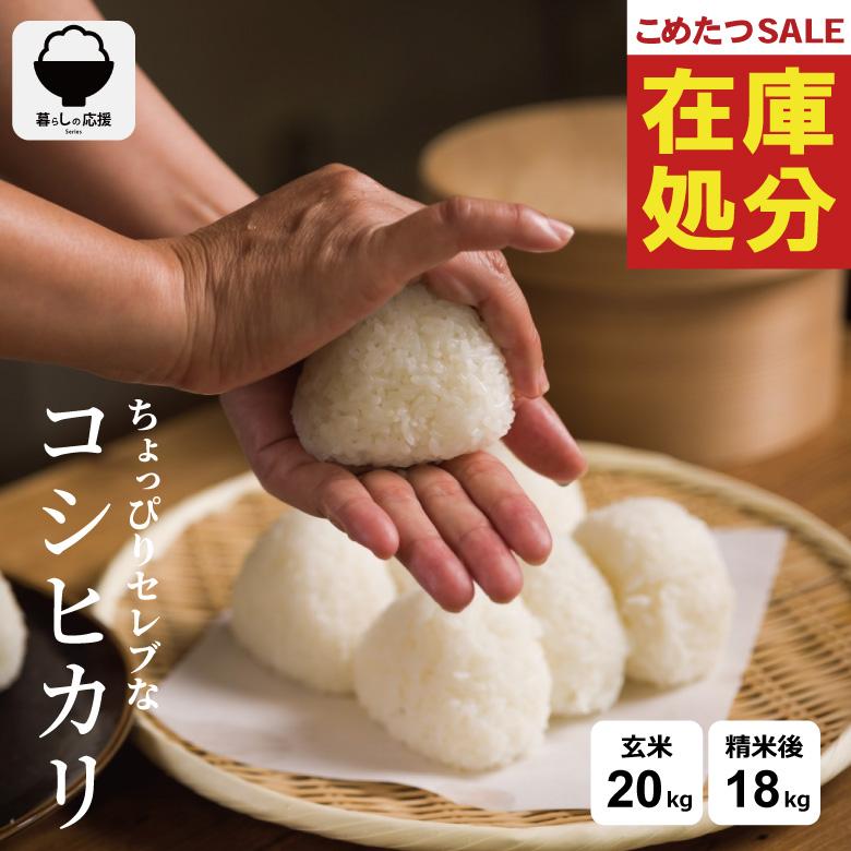 コシヒカリ 【在庫処分SALE】【暮らし応援価格！】米 お米 20kg