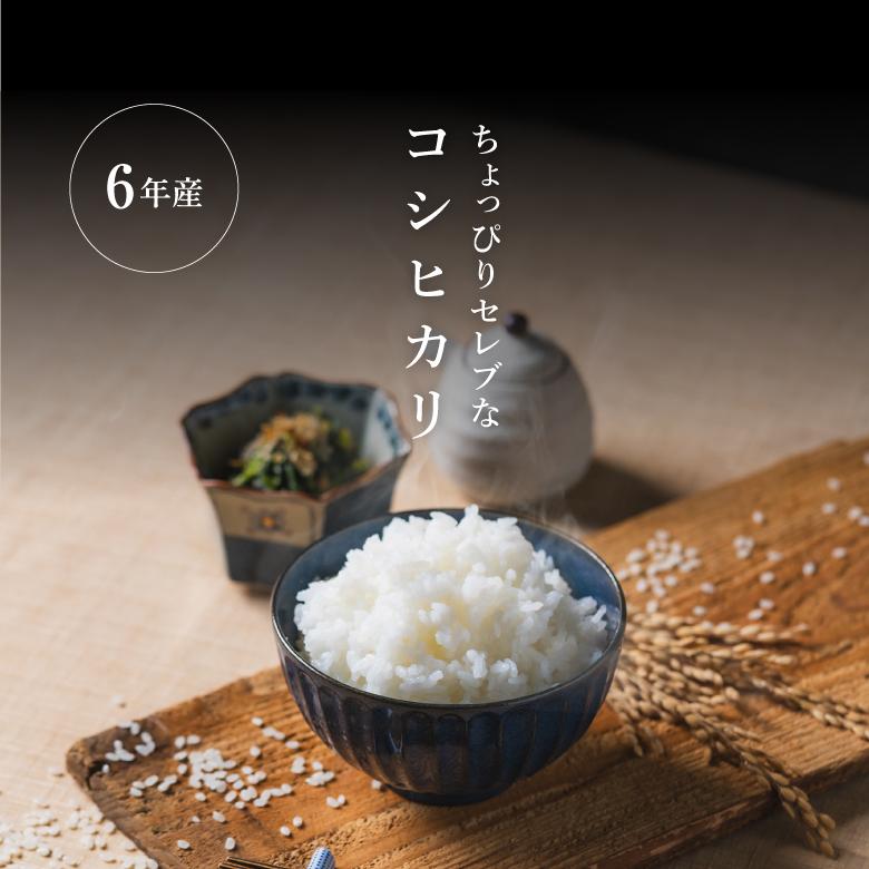 新米 米 お米 20kg ちょっぴりセレブな コシヒカリ 国内産 令和6年産  