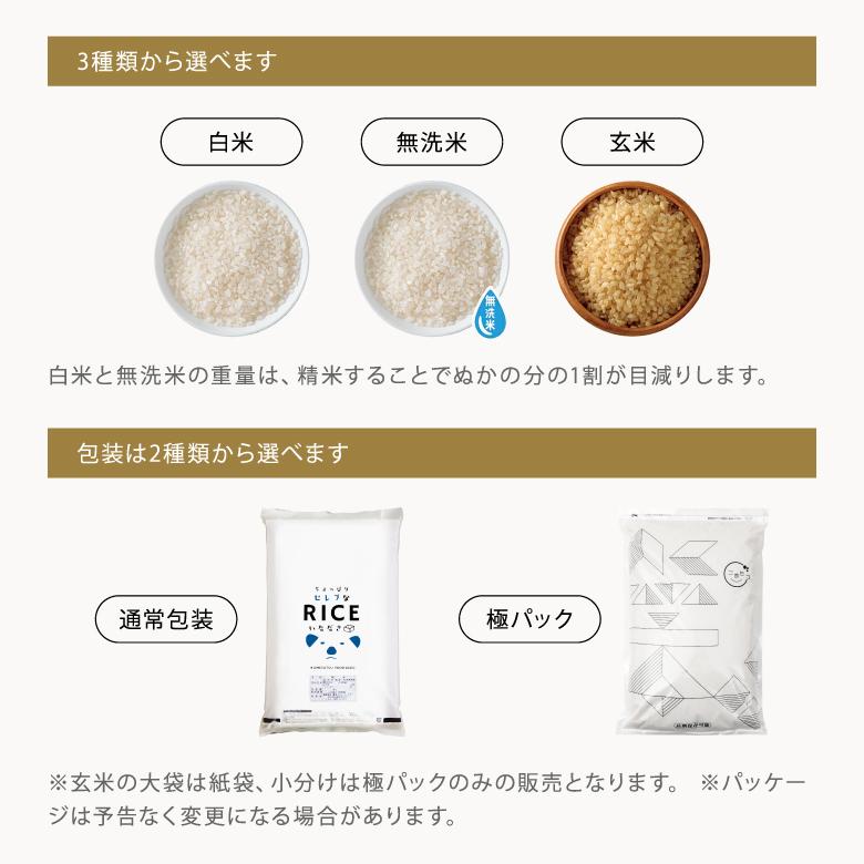 コシヒカリ 【令和8年産 新米入荷！】 米 お米 20kg ちょっぴりセレブ