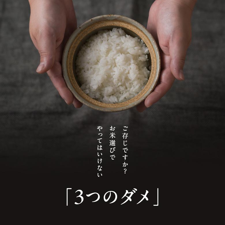 コシヒカリ 【令和8年産 新米入荷！】 米 お米 20kg ちょっぴりセレブ