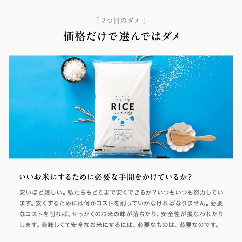 コシヒカリ 【令和8年産 新米入荷！】 米 お米 20kg ちょっぴりセレブ