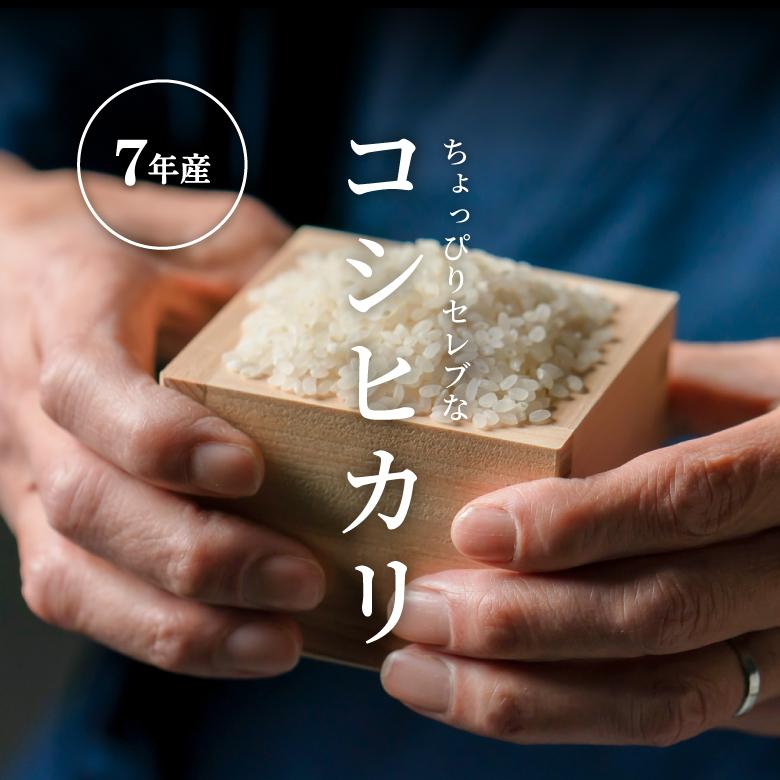 コシヒカリ 米 お米 30kg ちょっぴりセレブな 国内産 令和7年産 玄米