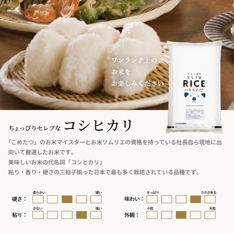 コシヒカリ 【在庫処分SALE】【暮らし応援価格！】米 お米 30kg