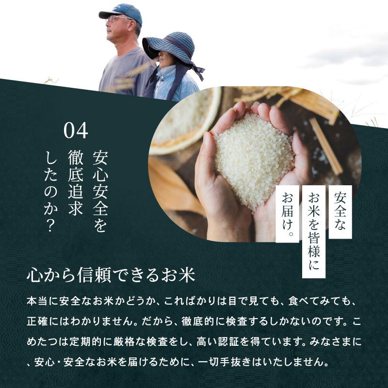コシヒカリ 【令和8年産 新米入荷！】 無洗米 米 お米 10kg 5kg×2袋