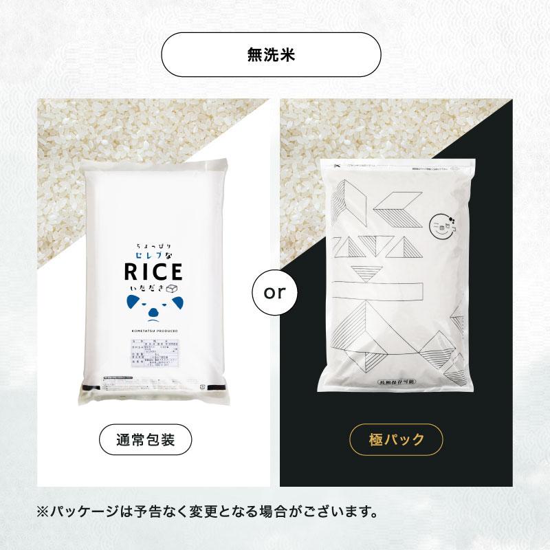 コシヒカリ 【令和8年産 新米入荷！】 無洗米 米 お米 10kg 5kg×2袋