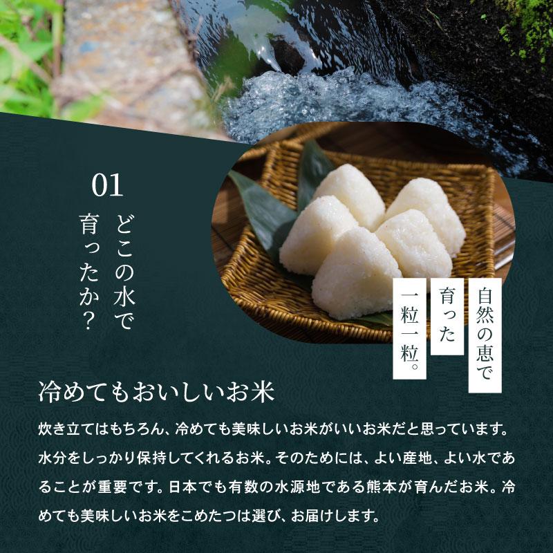 コシヒカリ 【令和8年産 新米入荷！】 無洗米 米 お米 10kg 5kg×2袋