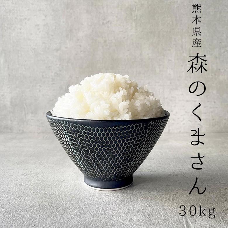 米 お米 30kg 送料無 森のくまさん 熊本県産 令和3年産 玄米30kg 精米27kg :kuma30-kp:こめたつ - 通販 -  Yahoo!ショッピング