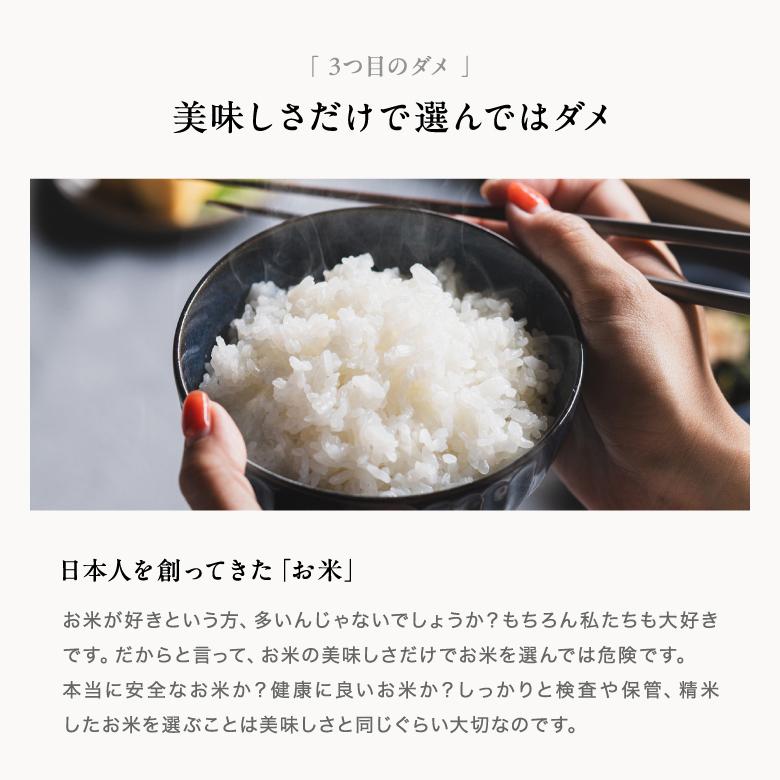 米 お米 20kg 森のくまさん 熊本県産 令和7年産 玄米 20kg 精米18kg_10