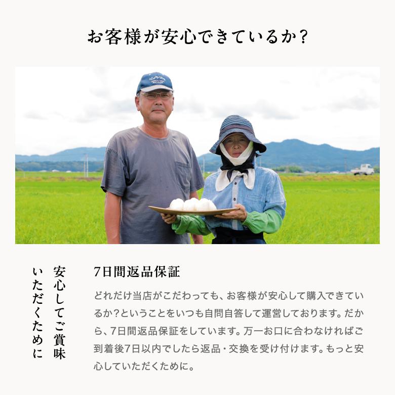 米 お米 20kg 森のくまさん 熊本県産 令和7年産 玄米 20kg 精米18kg_15