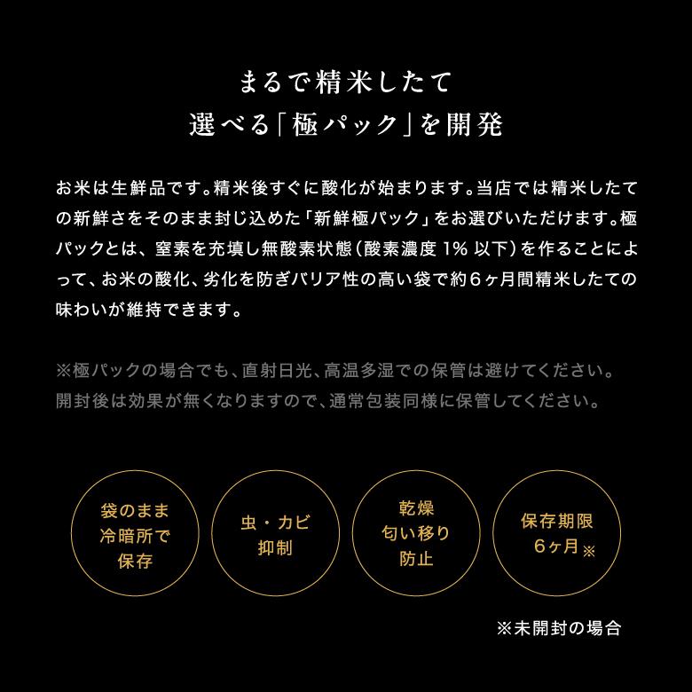 米 お米 20kg 森のくまさん 熊本県産 令和7年産 玄米 20kg 精米18kg_18
