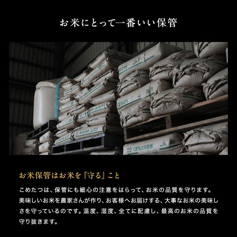 米 お米 20kg 森のくまさん 熊本県産 令和7年産 玄米 20kg 精米18kg_19
