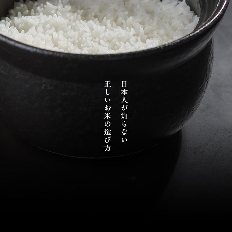 森のくまさん ＼1,000円OFFクーポン！22(月)23:59まで！／新米 米 お米