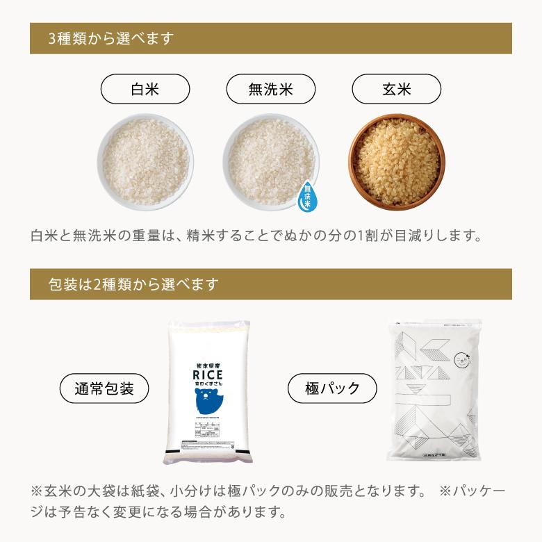 森のくまさん 最安値挑戦中！ 米 お米 30kg 熊本県産 令和7年産 玄米