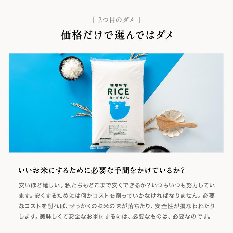 森のくまさん ＼年末年始も休まずお届け！／米 お米 20kg 熊本県産 令