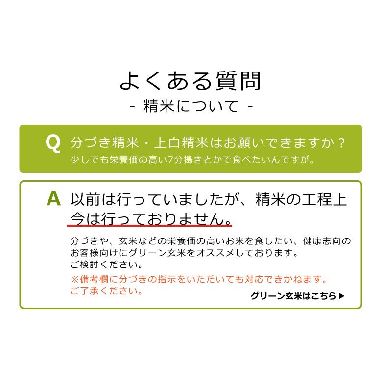 破格！ 米 お米 10kg 森のくまさん 熊本県産 令和5年産 5kg×2袋｜fuchigami｜09