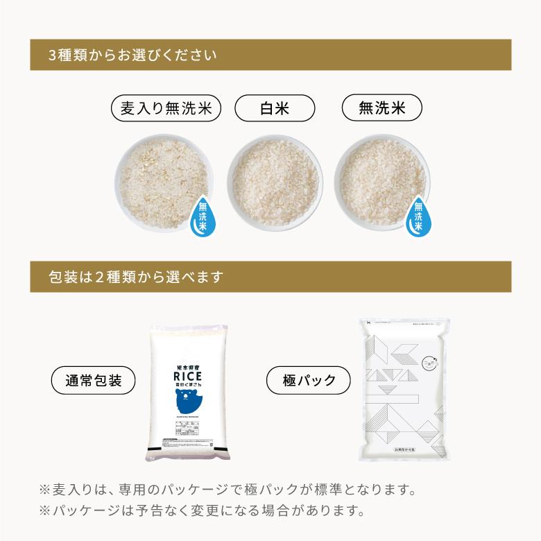 森のくまさん 最安値挑戦中！ 米 お米 10kg 熊本県産 令和7年産 こめ