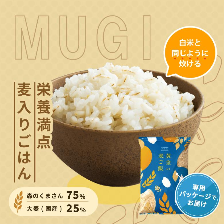 森のくまさん 【令和8年産 新米入荷！】 新米 米 お米 10kg 熊本県産